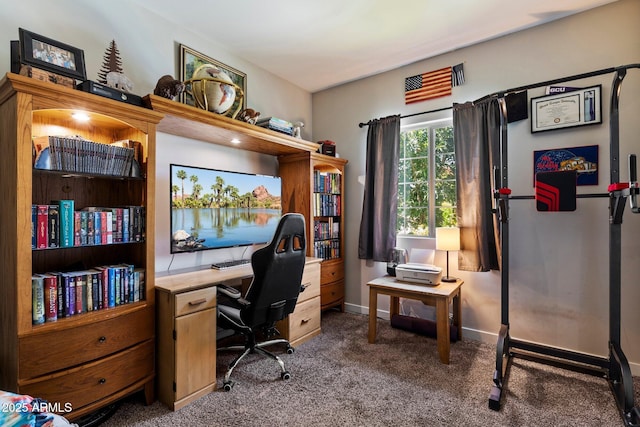 2753 E Fossil Ridge Rd, Phoenix, AZ 85050 - office space featuring carpet and baseboards