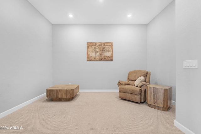 living area with carpet flooring