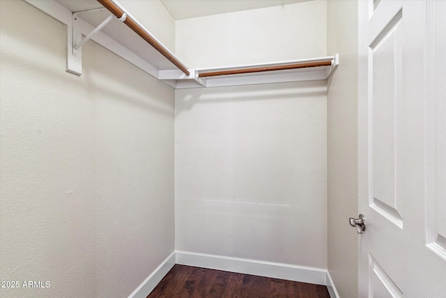 spacious closet with hardwood / wood-style floors