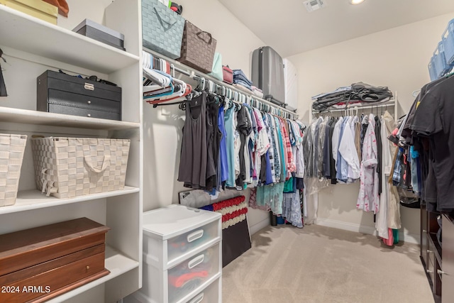 spacious closet with light carpet