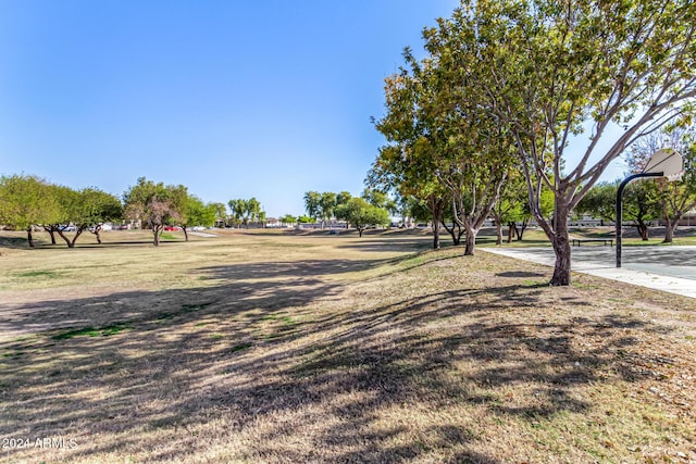 view of property's community