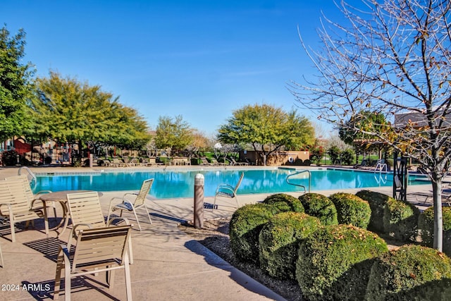 view of swimming pool with a patio