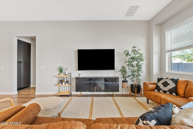 living room with a fireplace and hardwood / wood-style floors