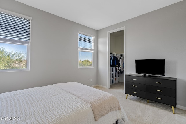 carpeted bedroom featuring a closet and a spacious closet