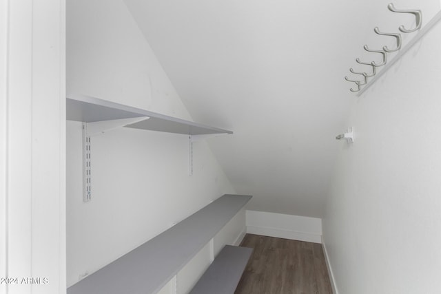 interior space featuring dark wood-type flooring and vaulted ceiling