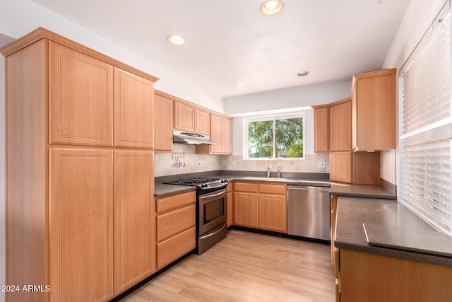 kitchen with tasteful backsplash, sink, light hardwood / wood-style floors, and appliances with stainless steel finishes