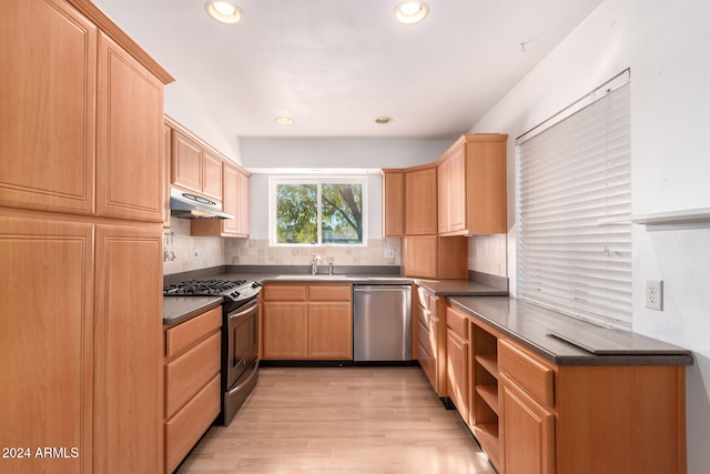 kitchen featuring backsplash, sink, light hardwood / wood-style flooring, and appliances with stainless steel finishes