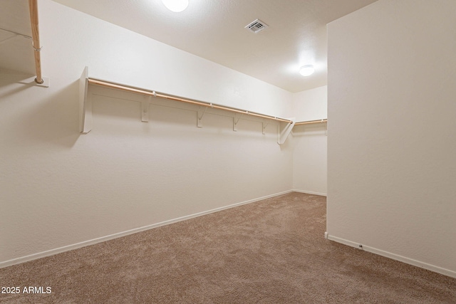 spacious closet featuring carpet