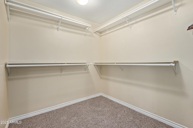 3034 E Turney Ave, Phoenix, AZ 85016 - spacious closet with carpet floors
