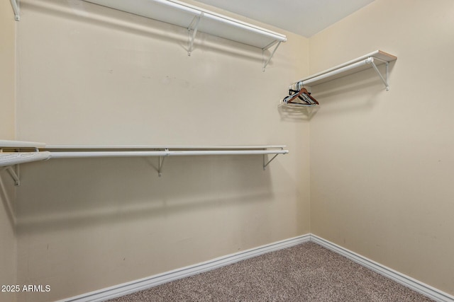 3034 E Turney Ave, Phoenix, AZ 85016 - spacious closet featuring carpet floors