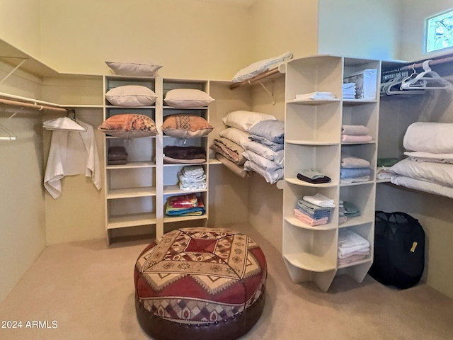 walk in closet featuring carpet floors