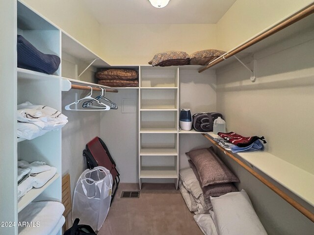 spacious closet with carpet floors