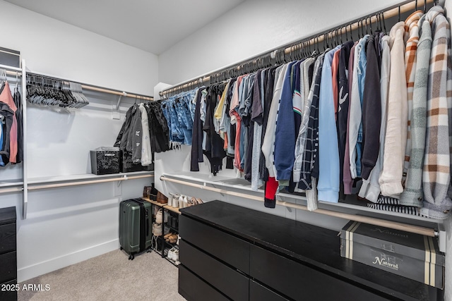 21241 E Superstition Dr, Queen Creek, AZ 85142 - walk in closet with carpet floors