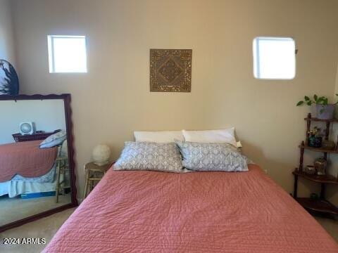 carpeted bedroom with multiple windows