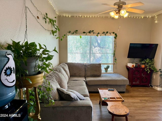 living room featuring wood-type flooring, ceiling fan, and ornamental molding