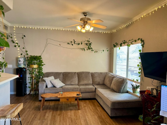 living room featuring ceiling fan and wood-type flooring