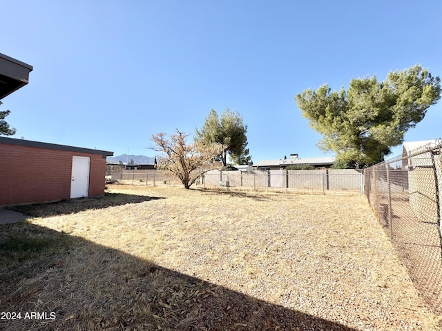 view of yard featuring a shed