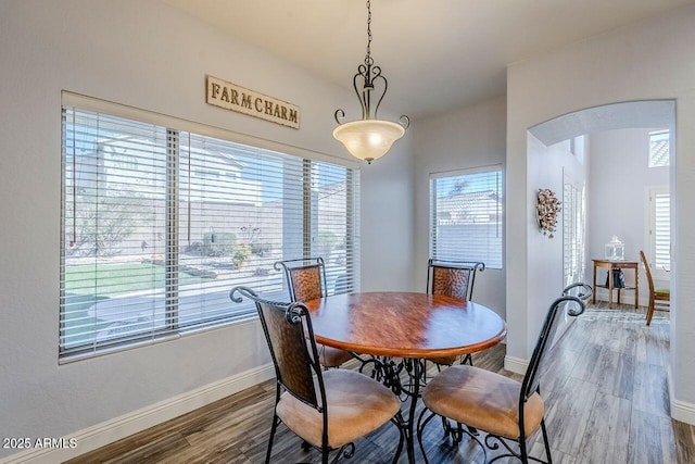 dining area featuring plenty of natural light and dark hardwood / wood-style floors