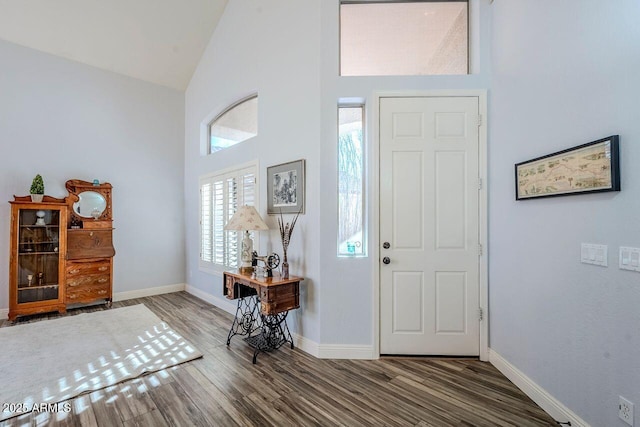 entrance foyer featuring high vaulted ceiling and hardwood / wood-style flooring