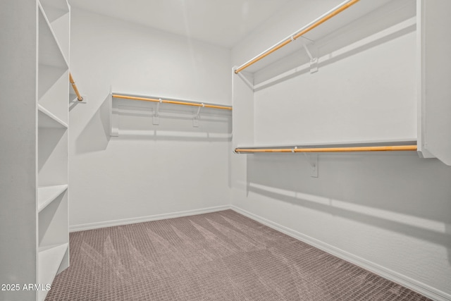 walk in closet featuring carpet floors