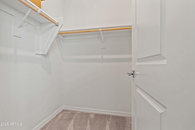 spacious closet with carpet flooring