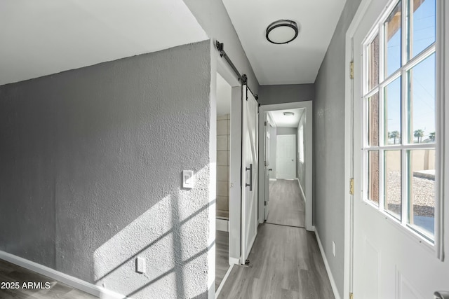 hallway featuring a barn door and hardwood / wood-style flooring