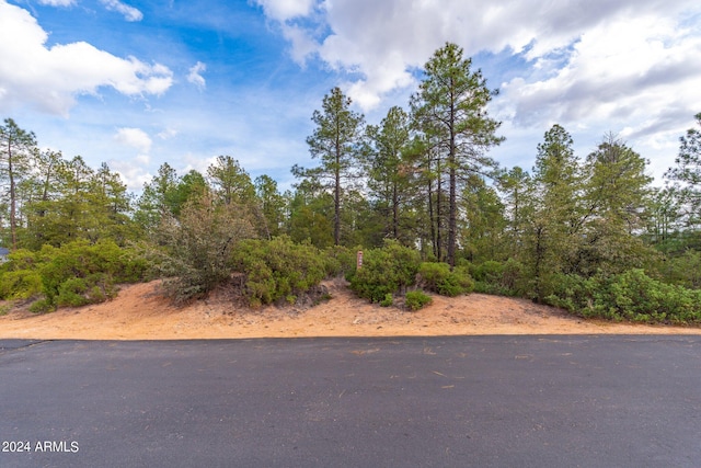 3103 E Game Trl Unit 253, Payson AZ, 85541 land for sale