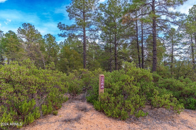 Listing photo 2 for 3103 E Game Trl Unit 253, Payson AZ 85541