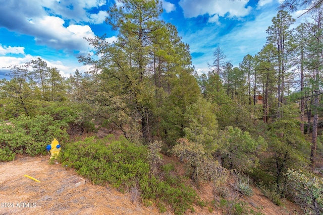 Listing photo 3 for 3103 E Game Trl Unit 253, Payson AZ 85541