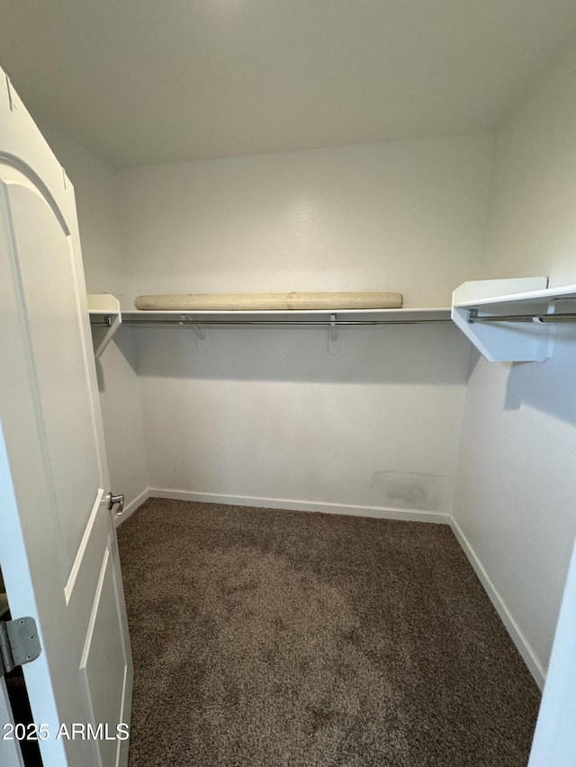 walk in closet with carpet floors
