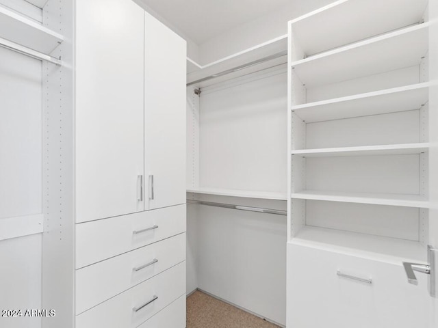 view of spacious closet