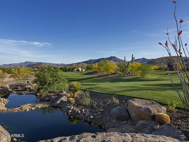 view of property's community featuring a mountain view and a lawn