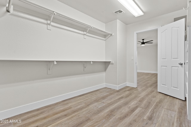 3575 E Gary Way, Gilbert, AZ 85234 - spacious closet with light wood finished floors and a ceiling fan