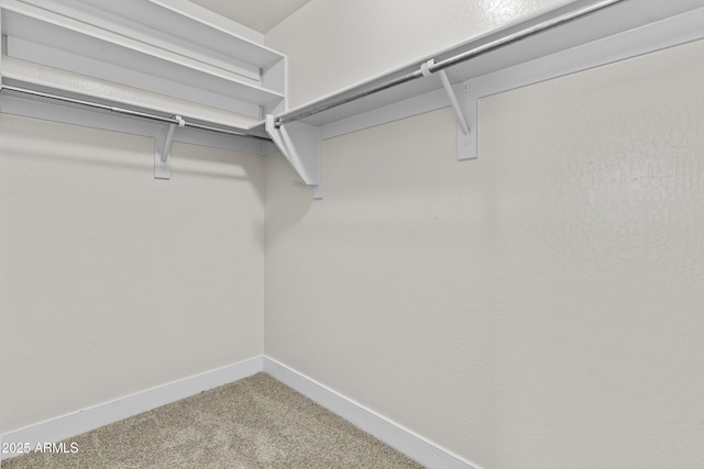 3575 E Gary Way, Gilbert, AZ 85234 - walk in closet with carpet flooring