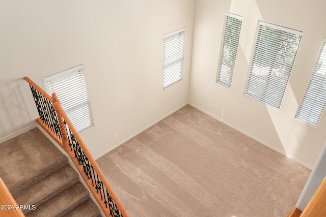 staircase featuring carpet floors