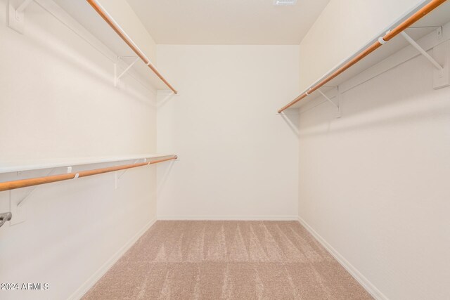 walk in closet with carpet