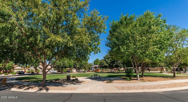 view of property's community featuring a lawn