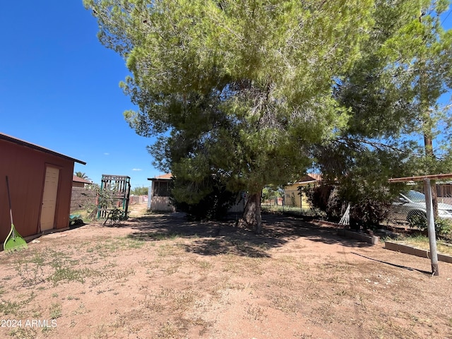 view of yard featuring a shed