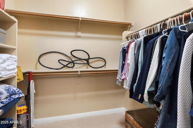 walk in closet featuring carpet flooring