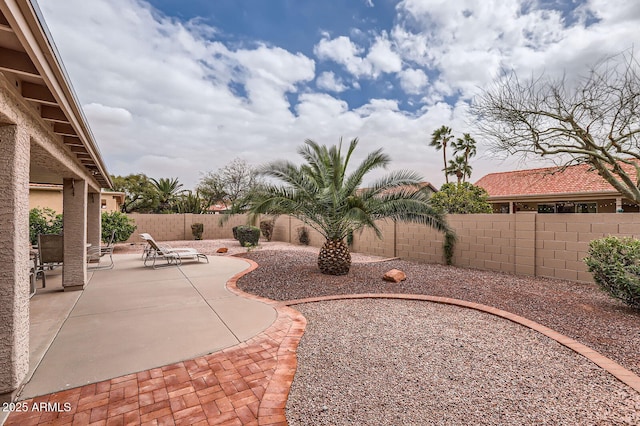 view of yard with a patio and a fenced backyard