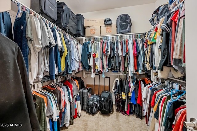 walk in closet with carpet