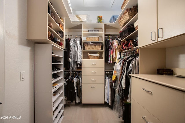 view of walk in closet