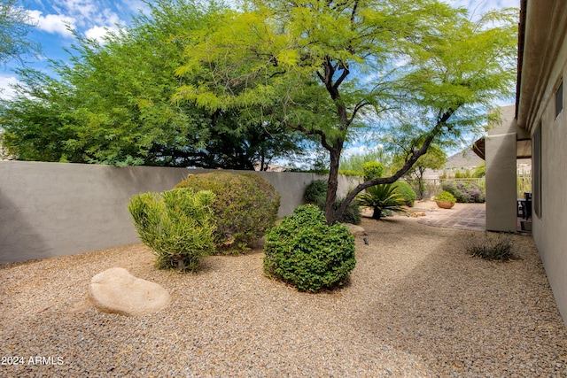 view of yard with a fenced backyard and a patio