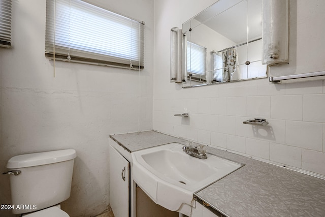 bathroom with toilet and vanity