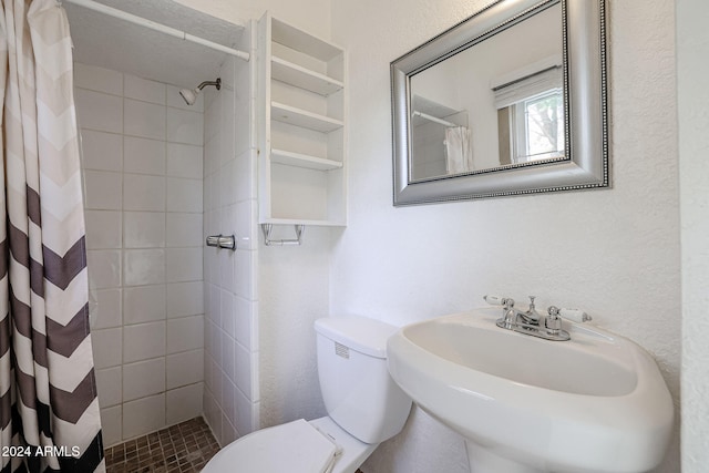 bathroom with toilet, sink, and a shower with shower curtain