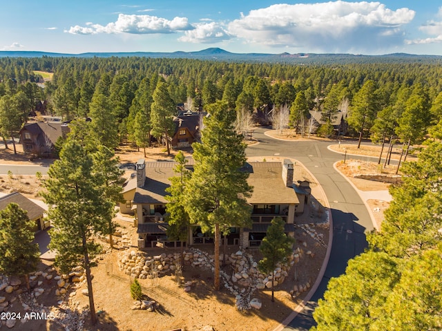 birds eye view of property featuring a mountain view