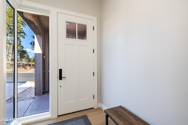 entrance foyer with light hardwood / wood-style flooring