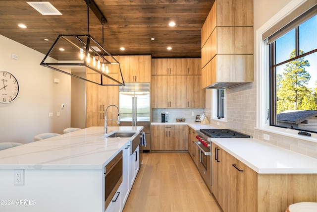 kitchen featuring built in appliances, an island with sink, a healthy amount of sunlight, and light wood-type flooring