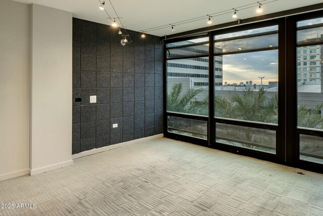 unfurnished room with carpet flooring and a wall of windows