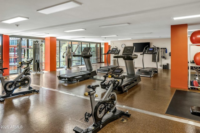 exercise room with expansive windows